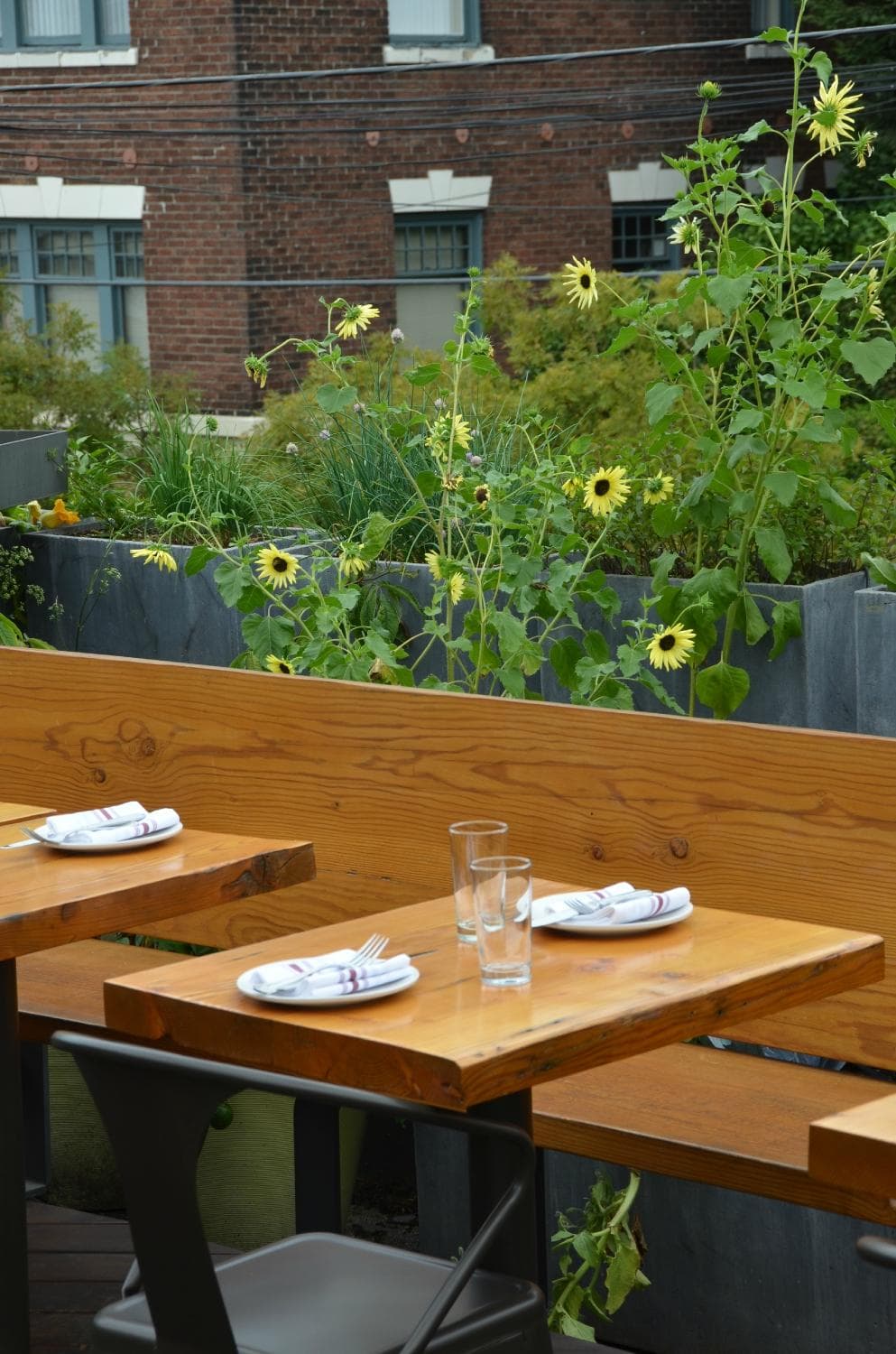 Terra Plata - photo 1